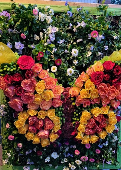 Floristische Arbeiten