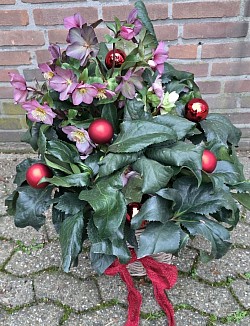 Weihnachtsgesteck