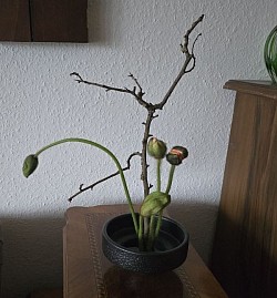 Stil Ikebana